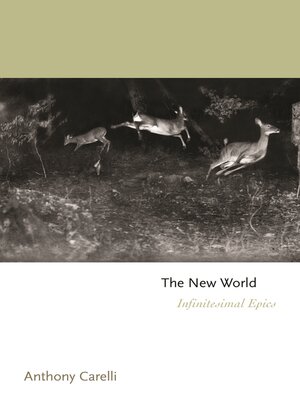 cover image of The New World